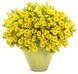 Петунія міні віста Yellow 0173 фото 1